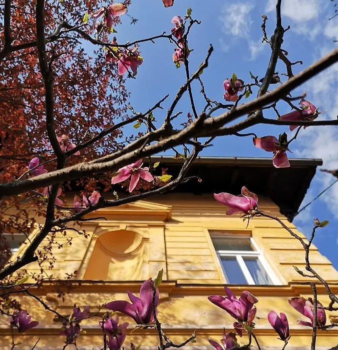 Vila Veselova, Ljubljana City Center-1
